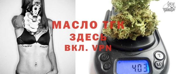 соль ск Богородицк