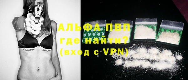 твердый Богданович