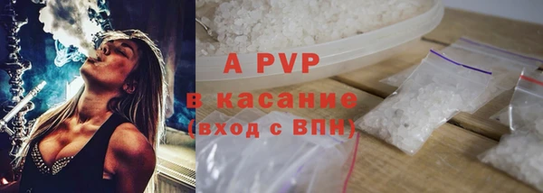 твердый Богданович