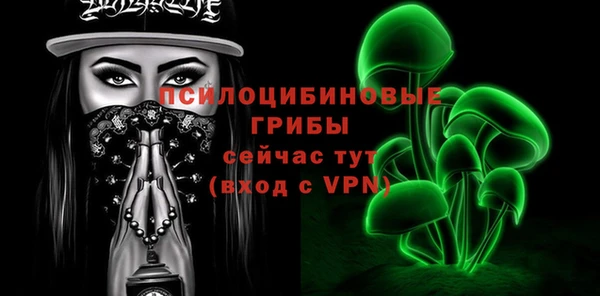стаф Богородск