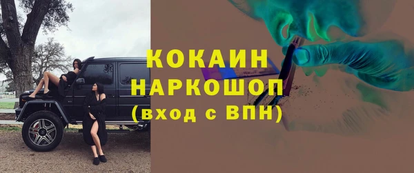 твердый Богданович