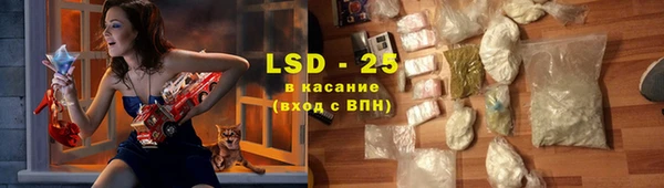 твердый Богданович