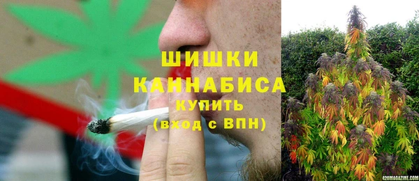 стаф Богородск