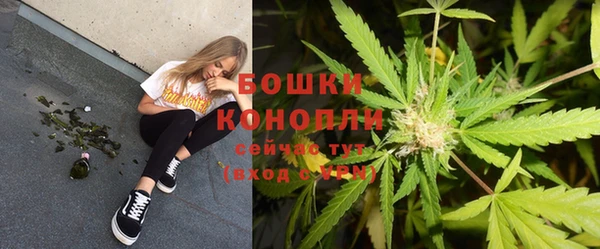 соль ск Богородицк
