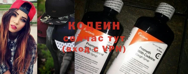 соль ск Богородицк